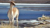 Leserfoto des Tages - Januar 2010 - Bild 15