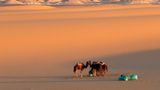 Leserfoto des Tages - Januar 2010 - Bild 17