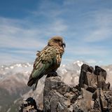 Leserfoto des Tages - Januar 2010 - Bild 18