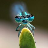 Leserfoto des Tages - Januar 2010 - Bild 19