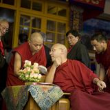Das neue Gesicht Tibets: der Karmapa - Bild 3