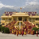 Das neue Gesicht Tibets: der Karmapa - Bild 4