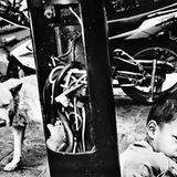 UNICEF-Foto des Jahres 2009 - Bild 9