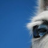 Leserfoto des Tages - Februar 2010 - Bild 4