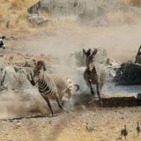 Leserfoto des Tages - Februar 2010 - Bild 8