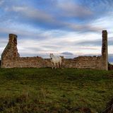 Leserfoto des Tages - Februar 2010 - Bild 10