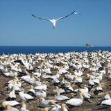 Leserfoto des Tages - Februar 2010 - Bild 11