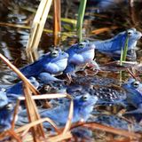 Leserfoto des Tages - Februar 2010 - Bild 13