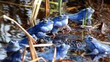 Leserfoto des Tages - Februar 2010 - Bild 13