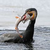 Leserfoto des Tages - Februar 2010 - Bild 18