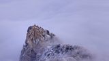 Leserfoto des Tages - Februar 2010 - Bild 19