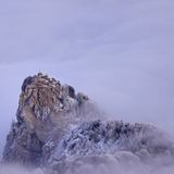 Leserfoto des Tages - Februar 2010 - Bild 19