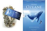 Kinofilme: Unsere Ozeane - Bild 2