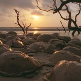 Kinofilme: Unsere Ozeane - Bild 13