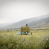 Fotogalerie: Couch bis Kasachstan - Bild 17