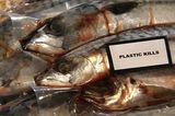 Filmtipp: Plastic Planet - Bild 7
