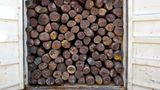 Container mit Edelholz