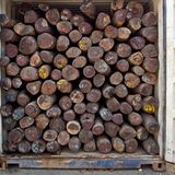 Container mit Edelholz