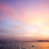 Langustenfarm, Vietnam