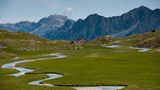 Moor in den Stubaier Alpen