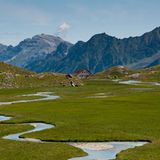 Moor in den Stubaier Alpen