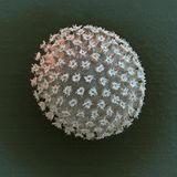 Bärtierchen: Chic in Schale