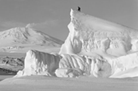 Fotogalerie: Die Eroberung des Südpols