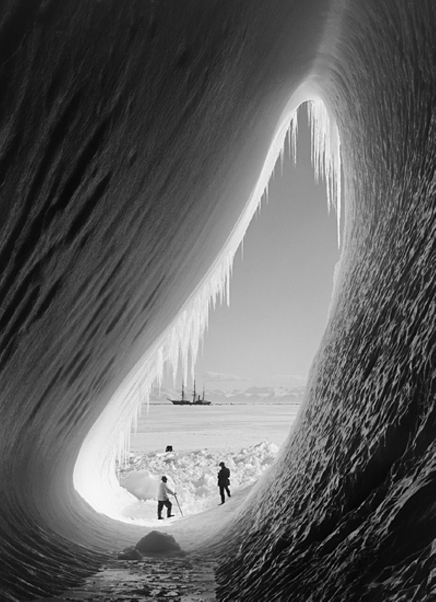 "Terra Nova"