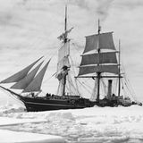 Die "Terra Nova" im Packeis