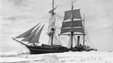 Die "Terra Nova" im Packeis