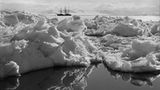 Die "Terra Nova" im Eis