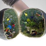 Fotoshow: Auf ins All - die Galaxie der Gewinner