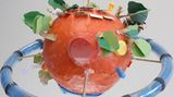Fotoshow: Auf ins All - die Galaxie der Gewinner - Bild 23