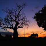 Sonnenuntergang in Kwarhi, Nord-Nigeria