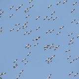 Leserfoto des Tages - Mai 2010 - Bild 5