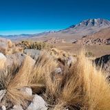 Atacama Wüste in Chile