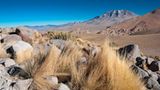 Atacama Wüste in Chile