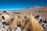 Atacama Wüste in Chile