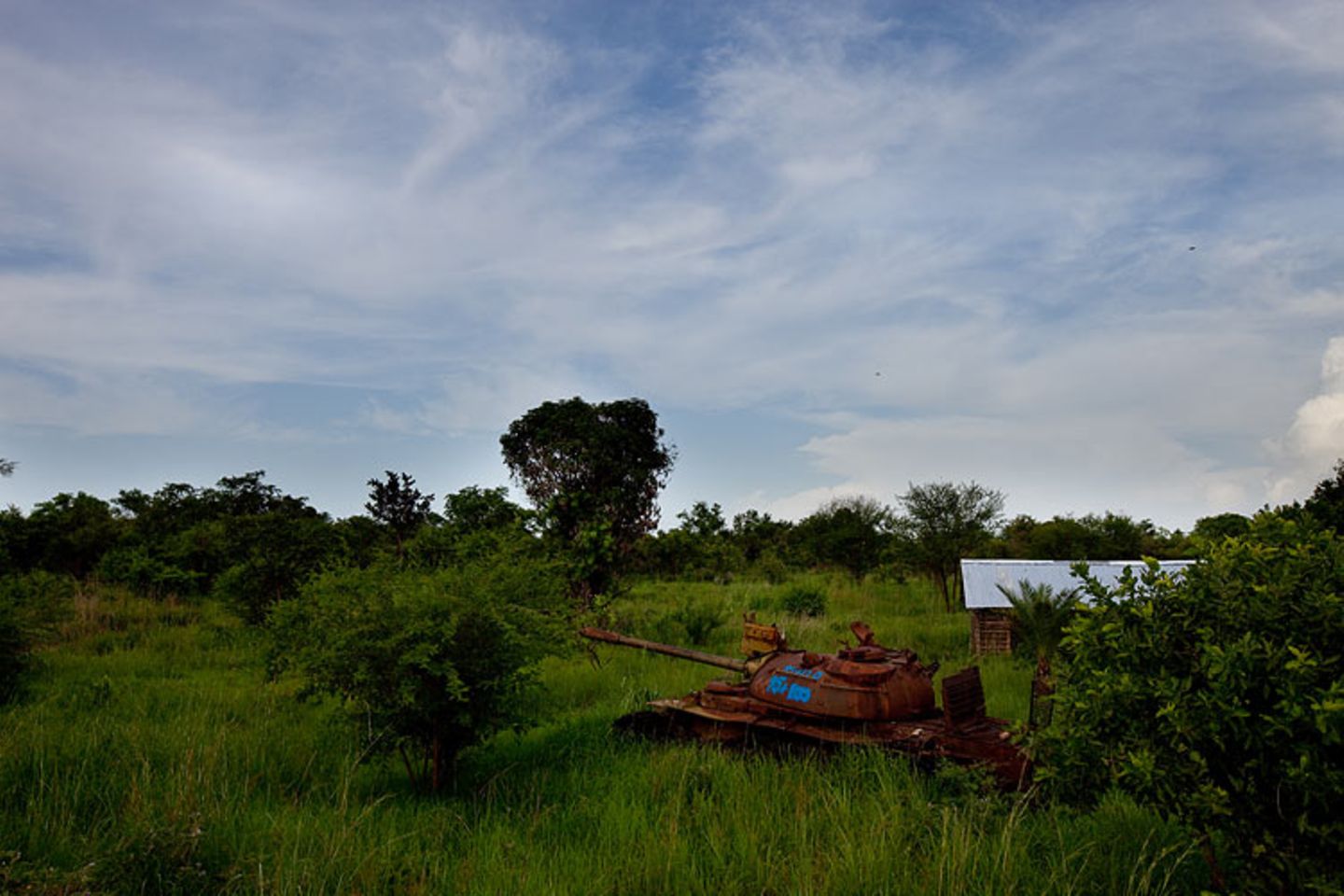 UNICEF-Fotoshow: Sudan - Margis geht ihren Weg - Bild 8