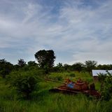 UNICEF-Fotoshow: Sudan - Margis geht ihren Weg - Bild 8