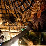 UNICEF-Fotoshow: Sudan - Margis geht ihren Weg - Bild 11