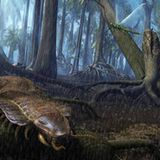 Evolution: Bildergalerie: Erdzeitalter - Bild 3