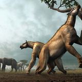 Evolution: Bildergalerie: Erdzeitalter - Bild 6