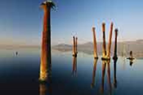 Fotogalerie: Fotogalerie: Internationale Naturfotografie an der Ostsee