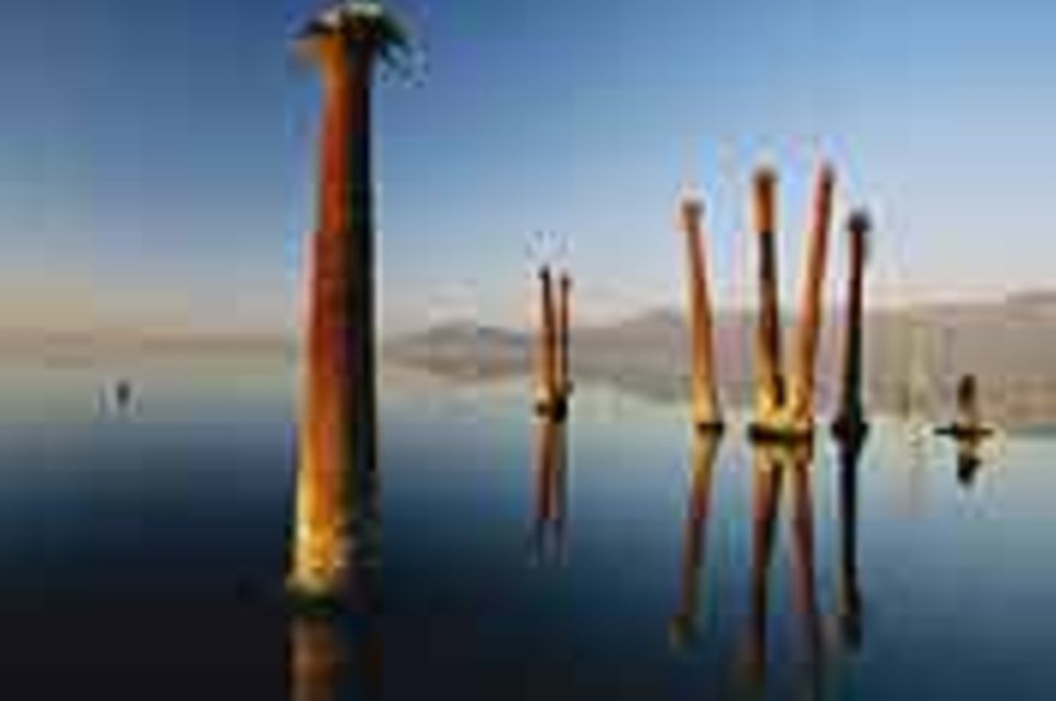 Fotogalerie: Fotogalerie: Internationale Naturfotografie an der Ostsee