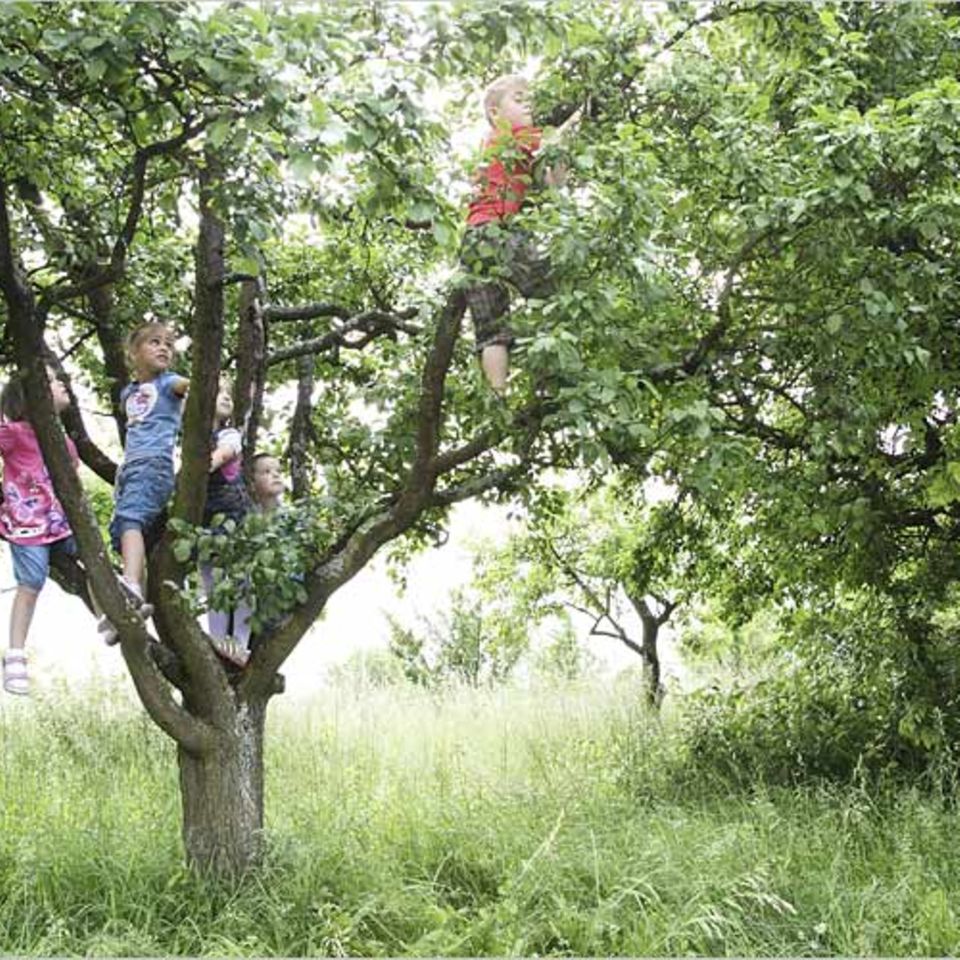 Kinder, raus in die Natur!