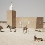 Moschee in Mauretanien