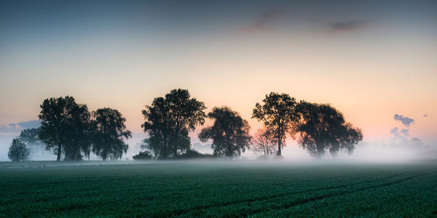Nebelstimmung