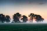 Nebelstimmung