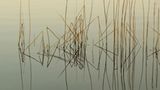 Fotowettbewerb Adlerauge 2010: Die Gewinnerfotos